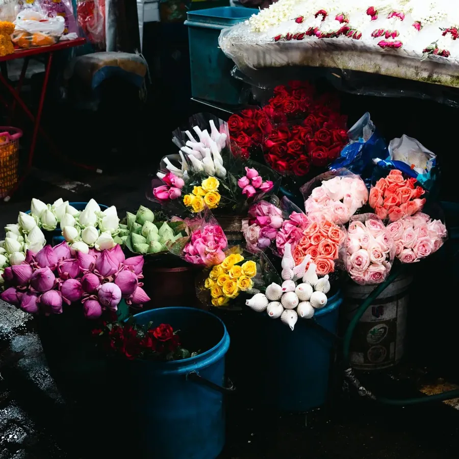 Mẫu hoa đang có